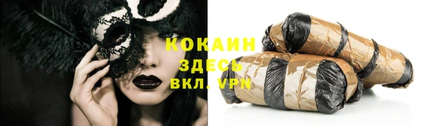 прущий лед Алзамай