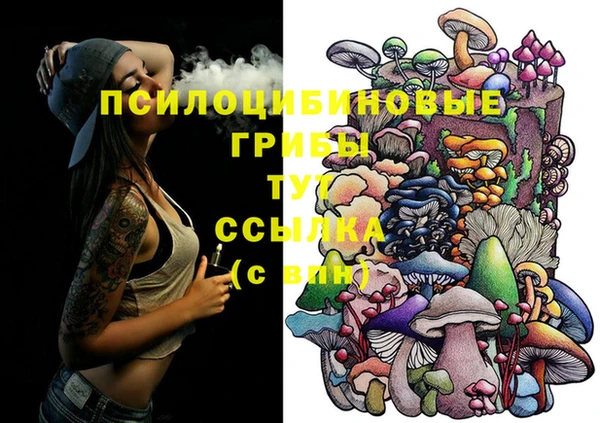 скорость Алексин