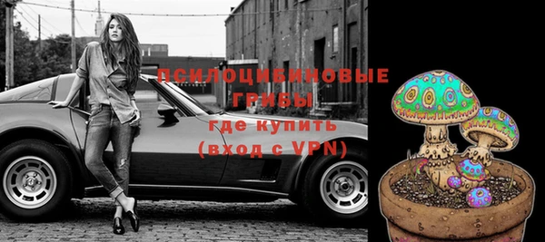 spice Абинск