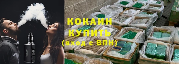 прущий лед Алзамай