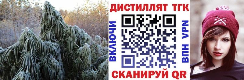 МЕГА зеркало  цены наркотик  Сураж  Дистиллят ТГК THC oil 
