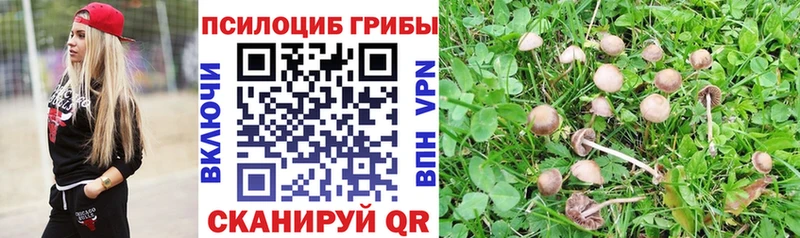 Псилоцибиновые грибы Cubensis  MEGA ТОР  Сураж 