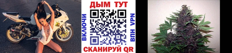 KRAKEN как войти  где купить наркоту  Сураж  Конопля план 